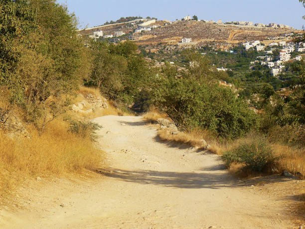 istock hiking in the nature 826605798