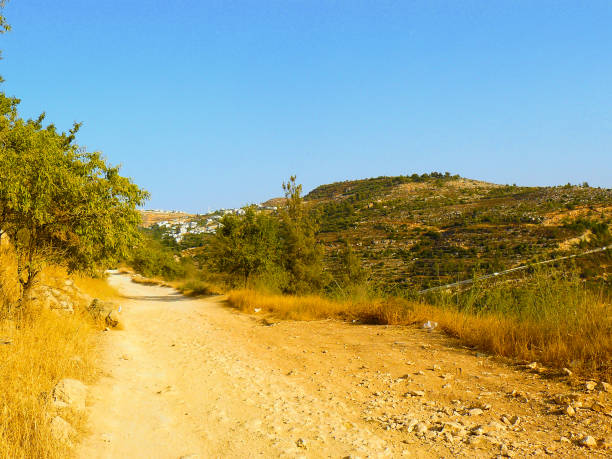 istock hiking in the nature 826605804