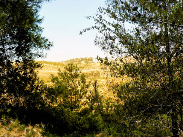 istock hiking in the nature 826605946