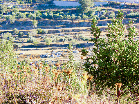 Trekking around the countryside of Jerusalem part of The National Trek