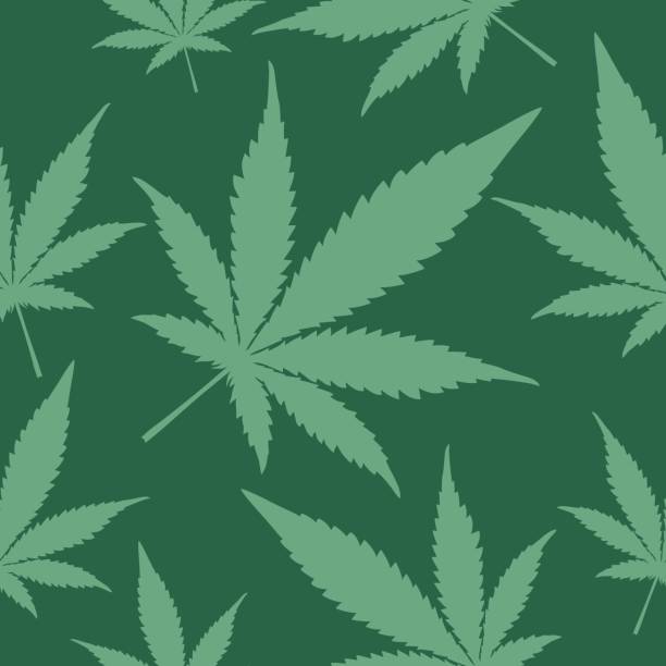 Green Marijuana Seamless Pattern Vector seamless pattern of marijuana leaves on a green background. weed leaf stock illustrations