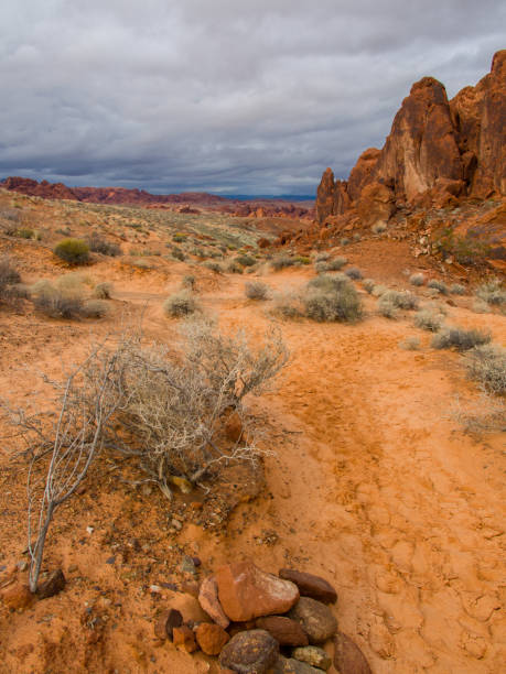istock The unique red sandstone rock formations 826617470