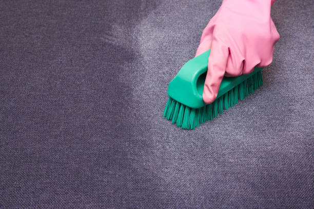 istock Hand in rubber protective glove with professionally brush cleaning a sofa. Upholstered furniture chemical cleaning. Early spring or regular clean up. 826617484