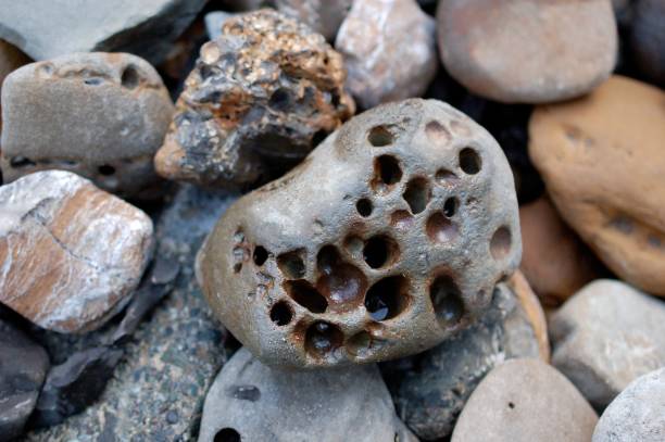 Photo of Sea-worn Stone
