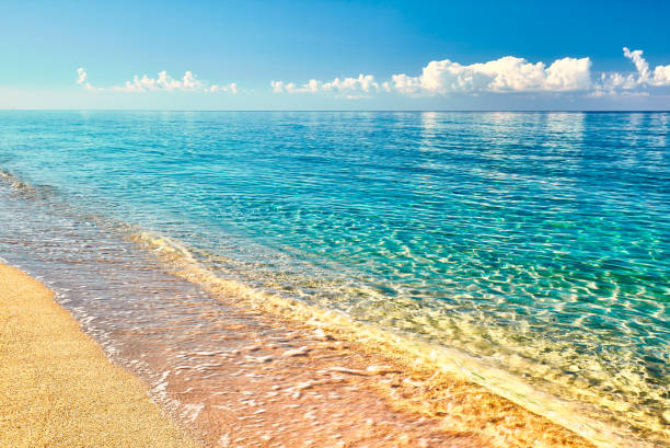 istock Sea view from tropical beach with sunny sky 826625800