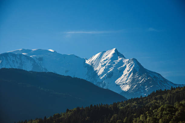 istock Forest, alpine landscape and blue sky. 826625934