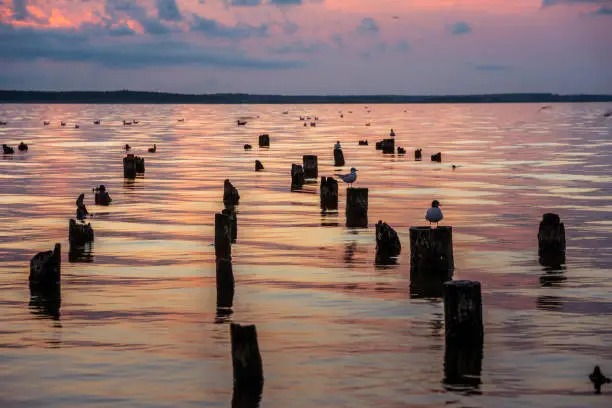 Colorful sky and water in lake Paliastomi in morning.