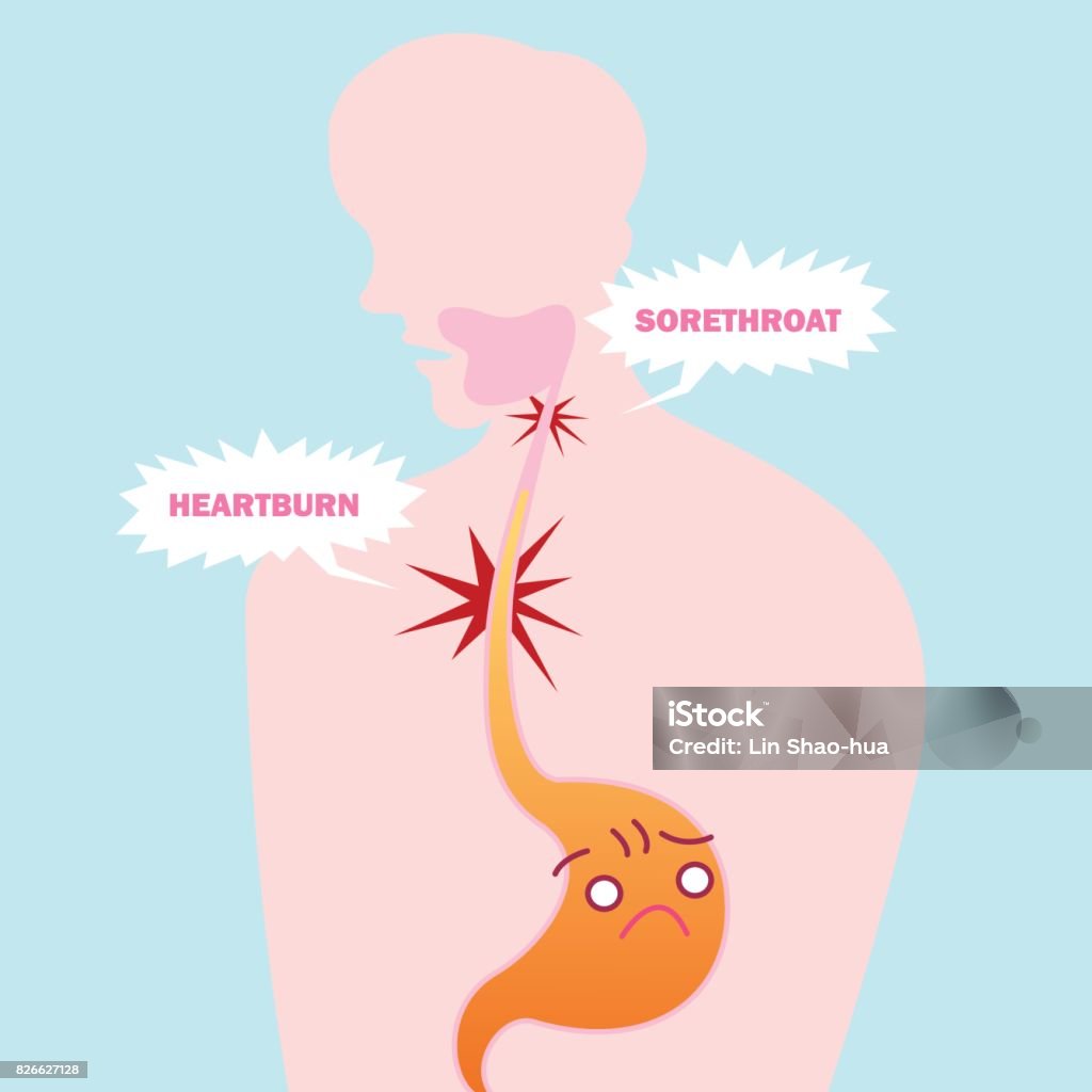 cute cartoon stomach cute cartoon stomach with health concept on the blue background Abdomen stock vector