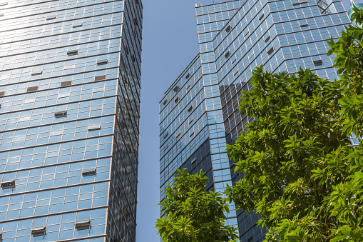 detail shot of green with modern architecture facade,business concepts,in city of China.