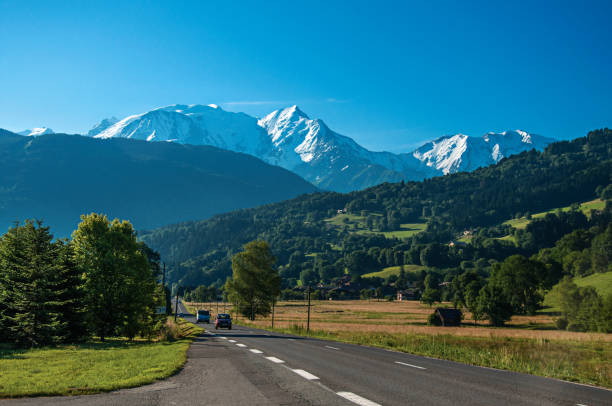 istock Fields, road, forest, alpine landscape and blue sky in the background. 826629950