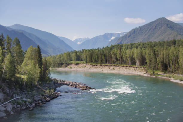 istock Katun river. Mountain Altai landscape 826637656