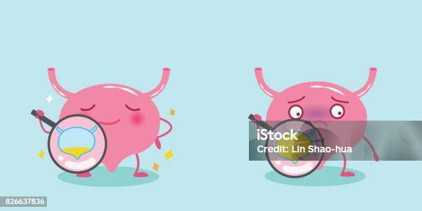 Cute Cartoon Bladder Stock Illustration - Download Image Now - Bladder, Adult, Analyzing