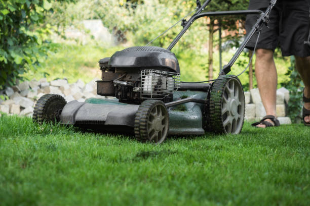 istock The lawn is mown with the lawn mower 826637966