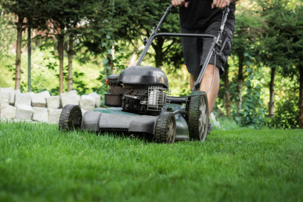 istock The lawn is mown with the lawn mower 826638156