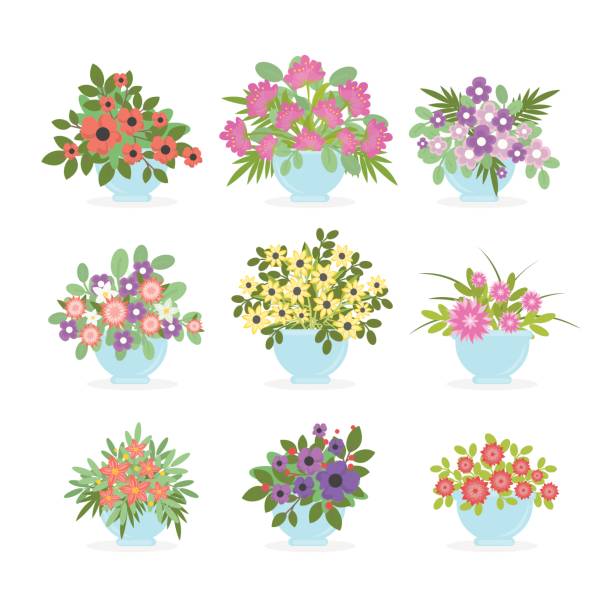 Flower pots set on white background. Flower pots set on white background. Colorful summer bouquets. narcissus mythological character stock illustrations
