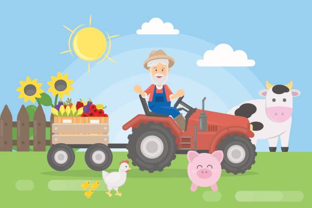 illustrazioni stock, clip art, cartoni animati e icone di tendenza di agricoltore su trattore. - agricultural machinery retro revival summer farm