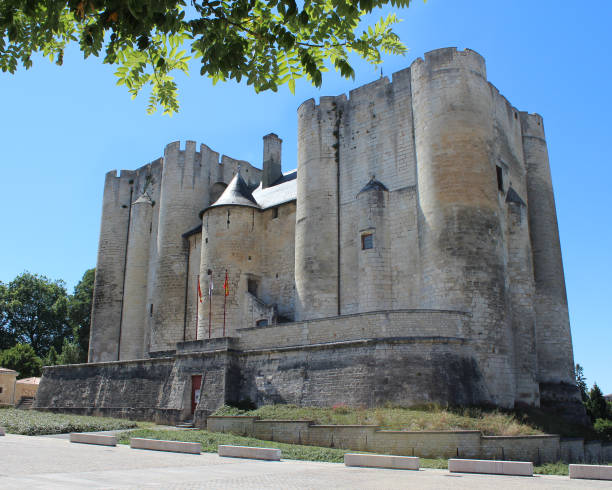 Castle of Niort Niort, France- July 16, 2017: The imposing Donjon of Niort (Old Keep) or Château de Niort, a medieval castle in the French town of Niort in the Deux-Sèvres region, in the summer. keep fortified tower photos stock pictures, royalty-free photos & images