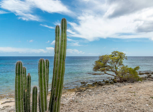 istock dessert and sea. This image is GPS tagged 826665124