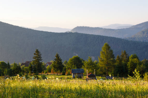 istock Morning in the mountains, Ukraine, Carpathians. 826665624