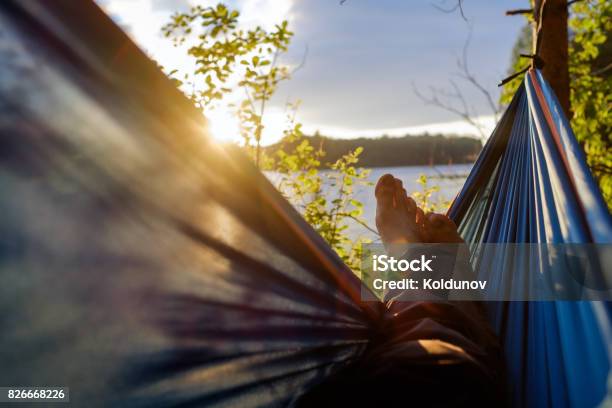 Man Relaxing In The Hammock Stock Photo - Download Image Now - Hammock, Nature, Sleeping