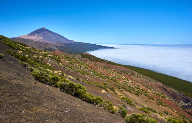 Mount Teide and Orotava Valley Tenerife stock photo