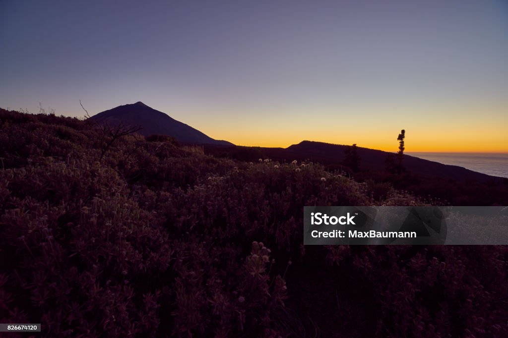 Mount Teide at Sunset The Teide National Park with Mount Teide in the evening light at sunset. Tenerife, Canary Islands. Atlantic Islands Stock Photo