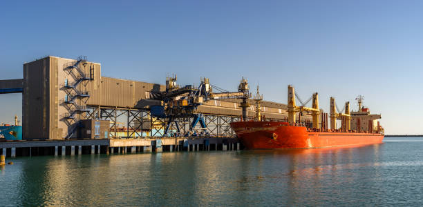 istock Bulk-carrier ship in a port panorama 826676910