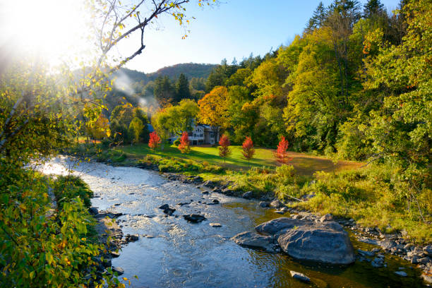 Summer mountain stream