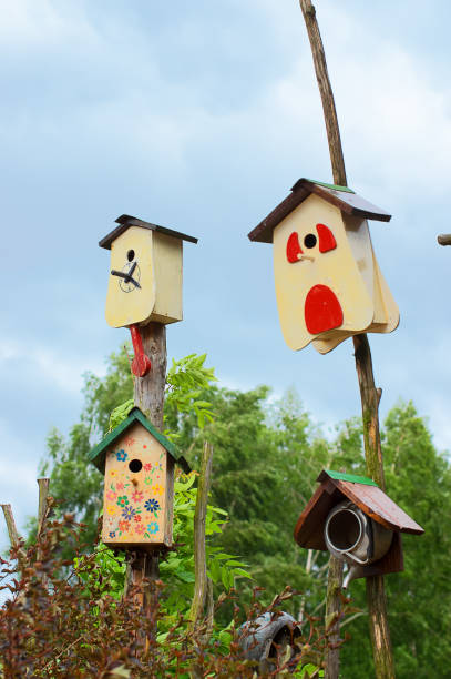istock wooden birdhouse Close-up 826689714