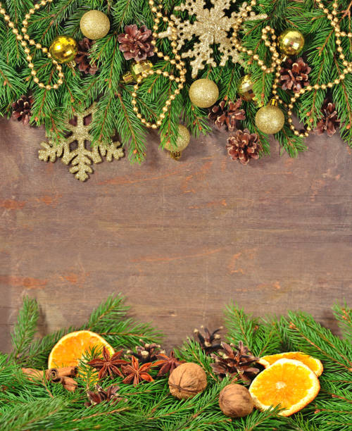 스타 아니 스, 견과류, 콘, 말린된 오렌지와 spruse 지점 - anisetree 뉴스 사진 이미지