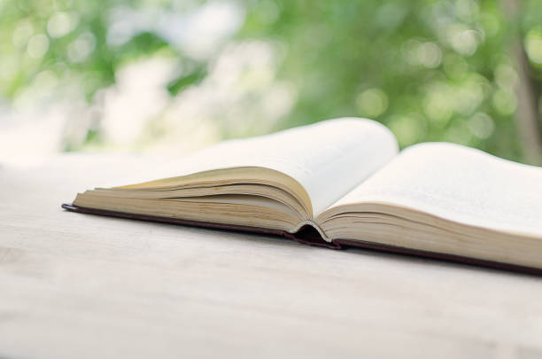 istock Open book in front of an open window. 826699326