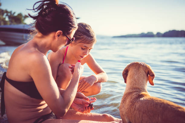 istock Mother, daughter and dog on the beach 826714202