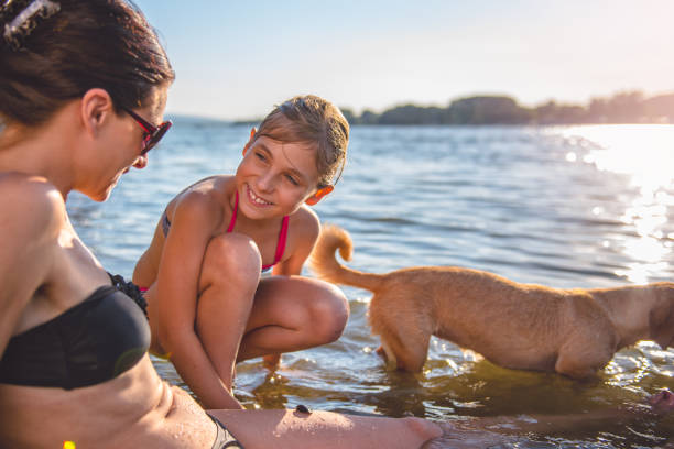 istock Mother, daughter and dog on the beach 826716542