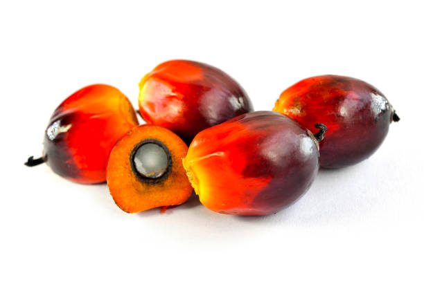 istock Fresh oil palm fruits 826716990