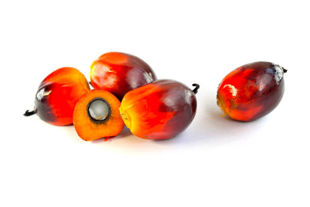 istock Fresh oil palm fruits 826717020