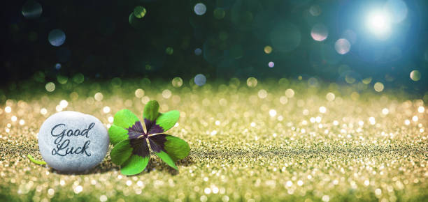 istock Abstract background with four leaf lucky clover and stone 826717228