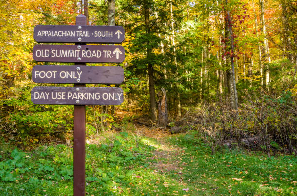 Information Wooden Signs on a Forest Path in Autumn Information Wooden Signs at the Beginning of a Mountain Path. Mount Greylock, The Berkshires, MA. hiking sign stock pictures, royalty-free photos & images