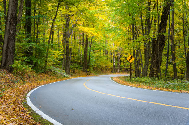 opuszczona kręta droga przez las - massachusetts the berkshires autumn mountain zdjęcia i obrazy z banku zdjęć