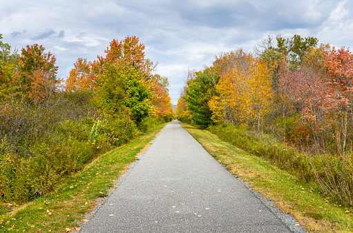 Straight Path Through the Countryside of Massachusetts on a Cloudy Autumn Day. The Deserted Paved Path is Lined with Colourful Autumnal Trees.