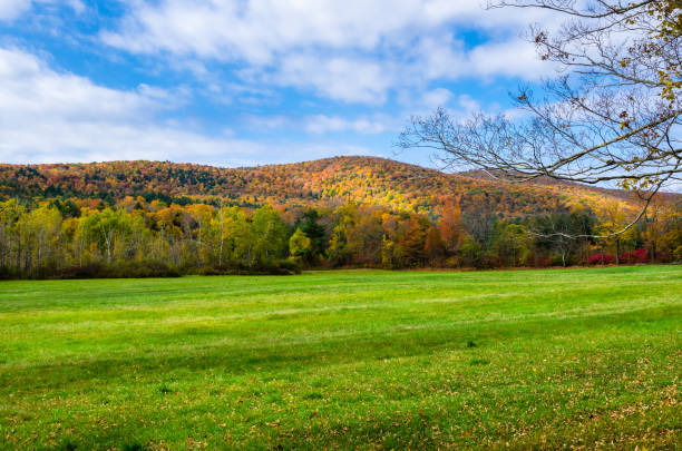 Forested Mountain Landscape with a Meadow in Foreground in the Berkshires, MA, on an Autumn Morning