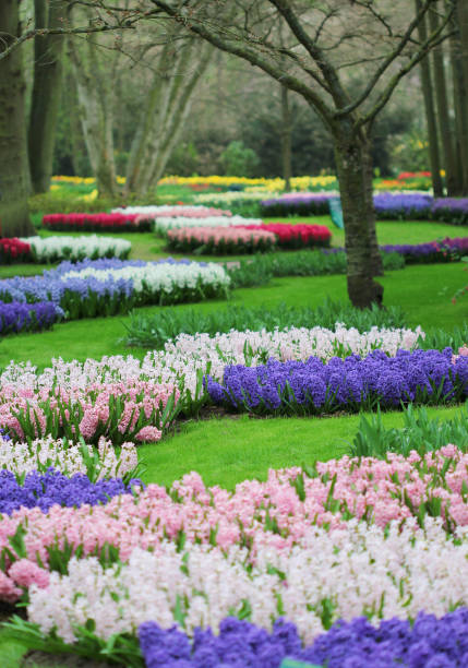 istock The spring park with many colorful flowerbeds 826720820