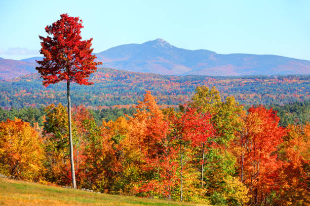 istock Autumn in New Hampshire 826725398