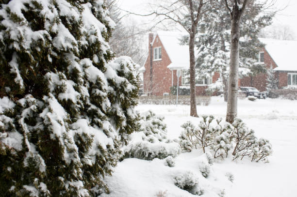 istock fresh snow on a suburb neighborhood 826728702