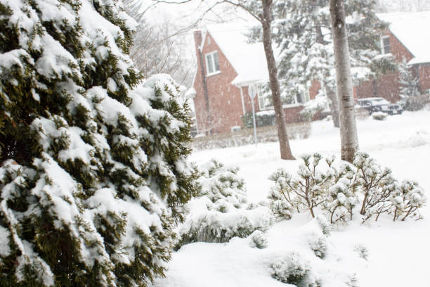 istock snow covered suburban street 826728704