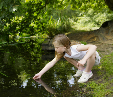 Young girl in summer clothes scooping water from pond with right hand