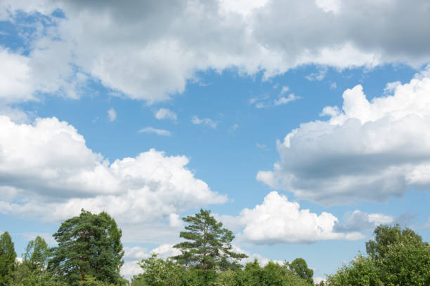 istock Fluffy white clouds  in the blue sky over the forest and treetops.  Copy space. 826735650