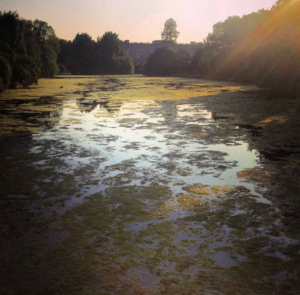 istock St James's Park in London 826737468
