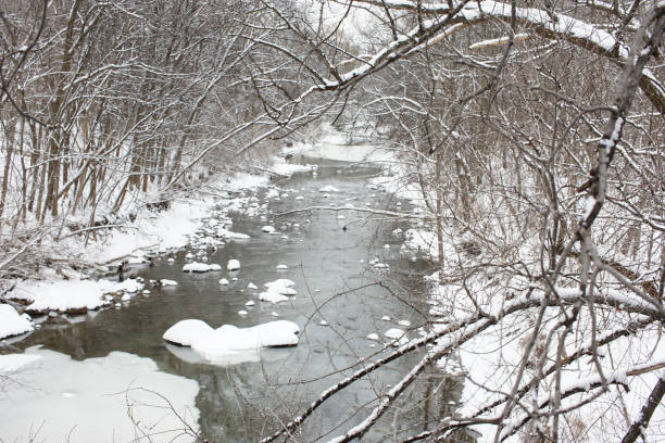 istock icy river in the forest during winter 826740692