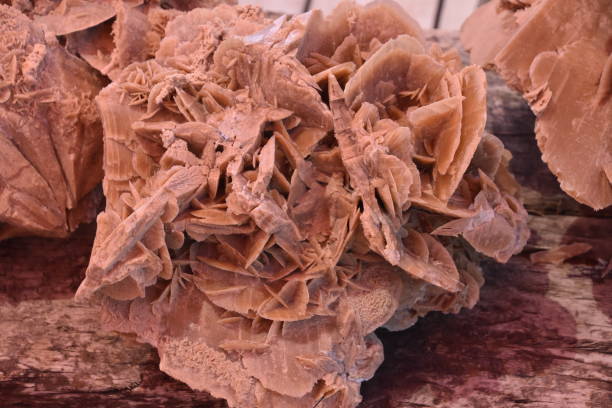istock Rock of a desert rose 826740744