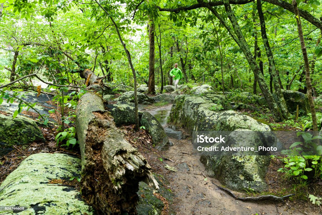 Trail Running Hiking in Great Falls, Virginia Trail Running Hiking in Great Falls, Virginia - Scenic landscape nature area with trail along the Potomac River McLean - Virginia Stock Photo